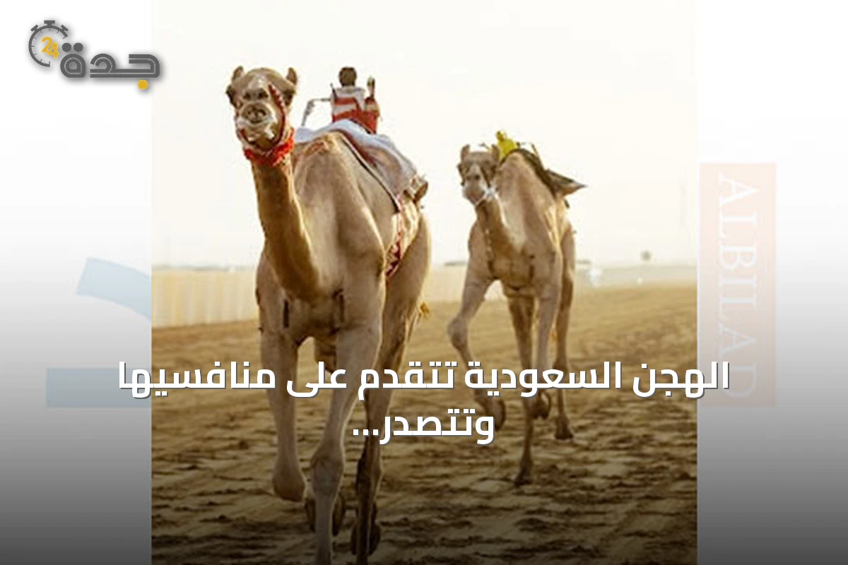 الهجن السعودية تتقدم على منافسيها وتتصدر أشواط مهرجان ولي العهد للهجن 2026