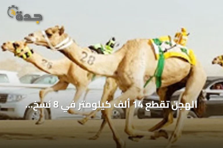 الهجن تقطع 14 ألف كيلومتر في 8 نسخ بمهرجان ولي العهد