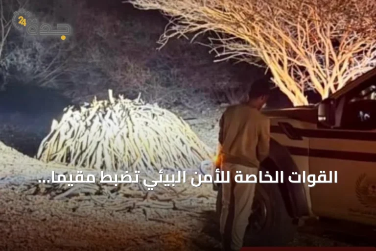 القوات الخاصة للأمن البيئي تضبط مقيمًا يمنيًا يخزن حطبًا محليًا في محمية الإمام فيصل بن تركي