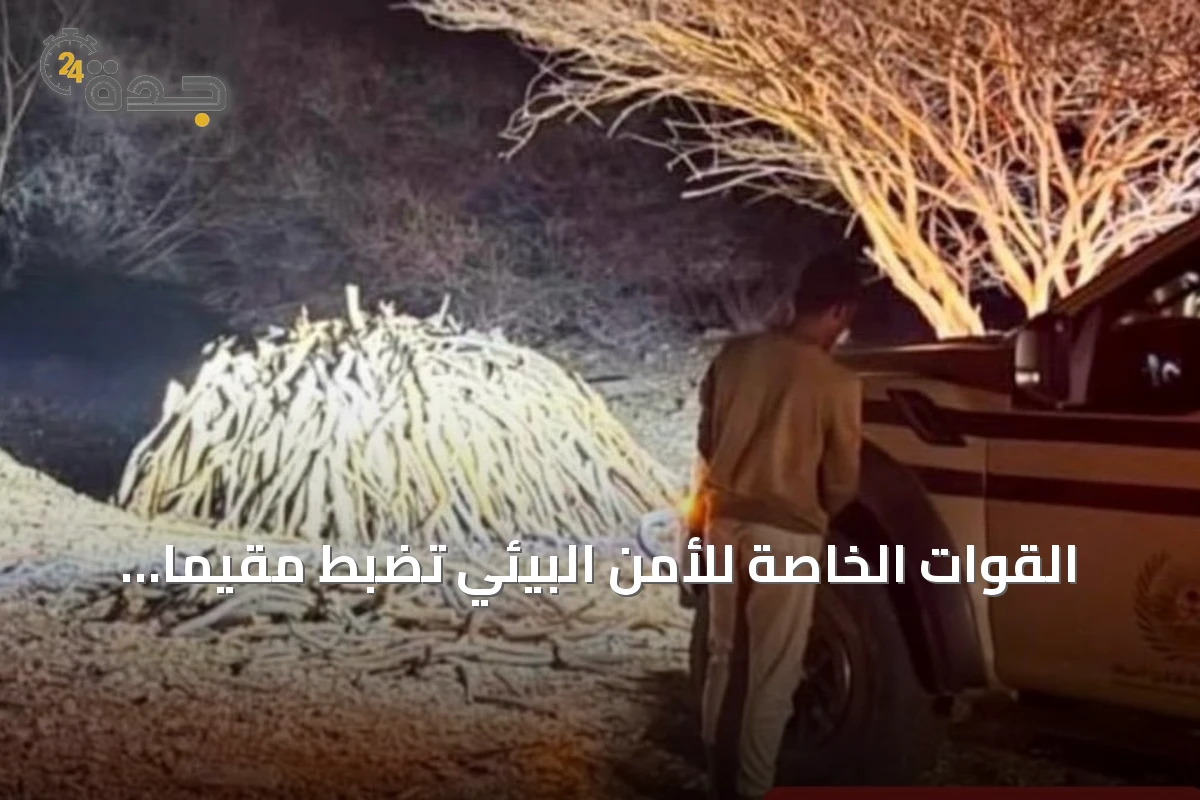 القوات الخاصة للأمن البيئي تضبط مقيمًا يمنيًا يخزن حطبًا محليًا في محمية الإمام فيصل بن تركي