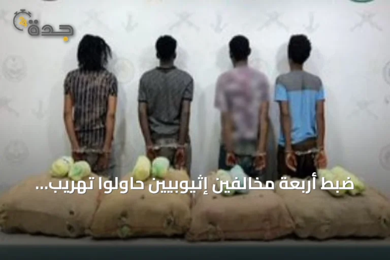 ضبط أربعة مخالفين إثيوبيين حاولوا تهريب كمية من القات في جازان