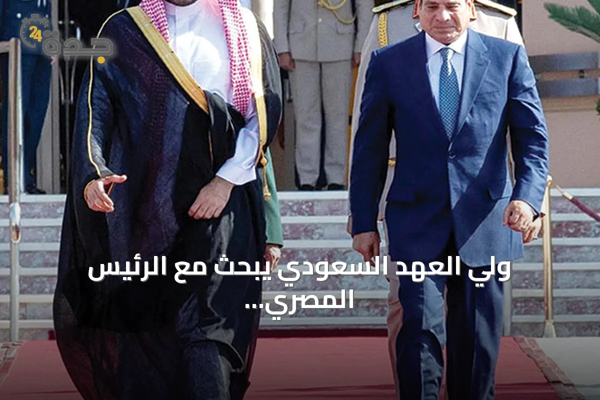 ولي العهد السعودي يبحث مع الرئيس المصري تعزيز التعاون المشترك