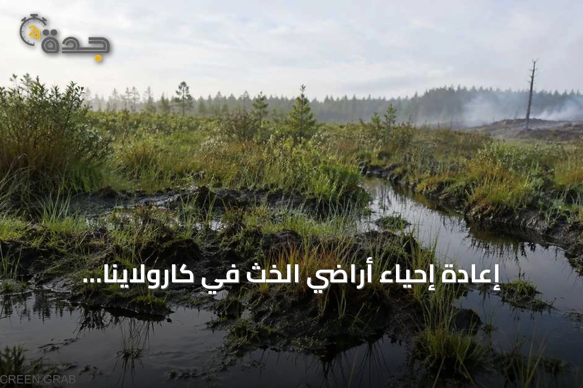 إعادة إحياء أراضي الخث في كارولاينا الشمالية: معركة ضد الحرائق والكربون
