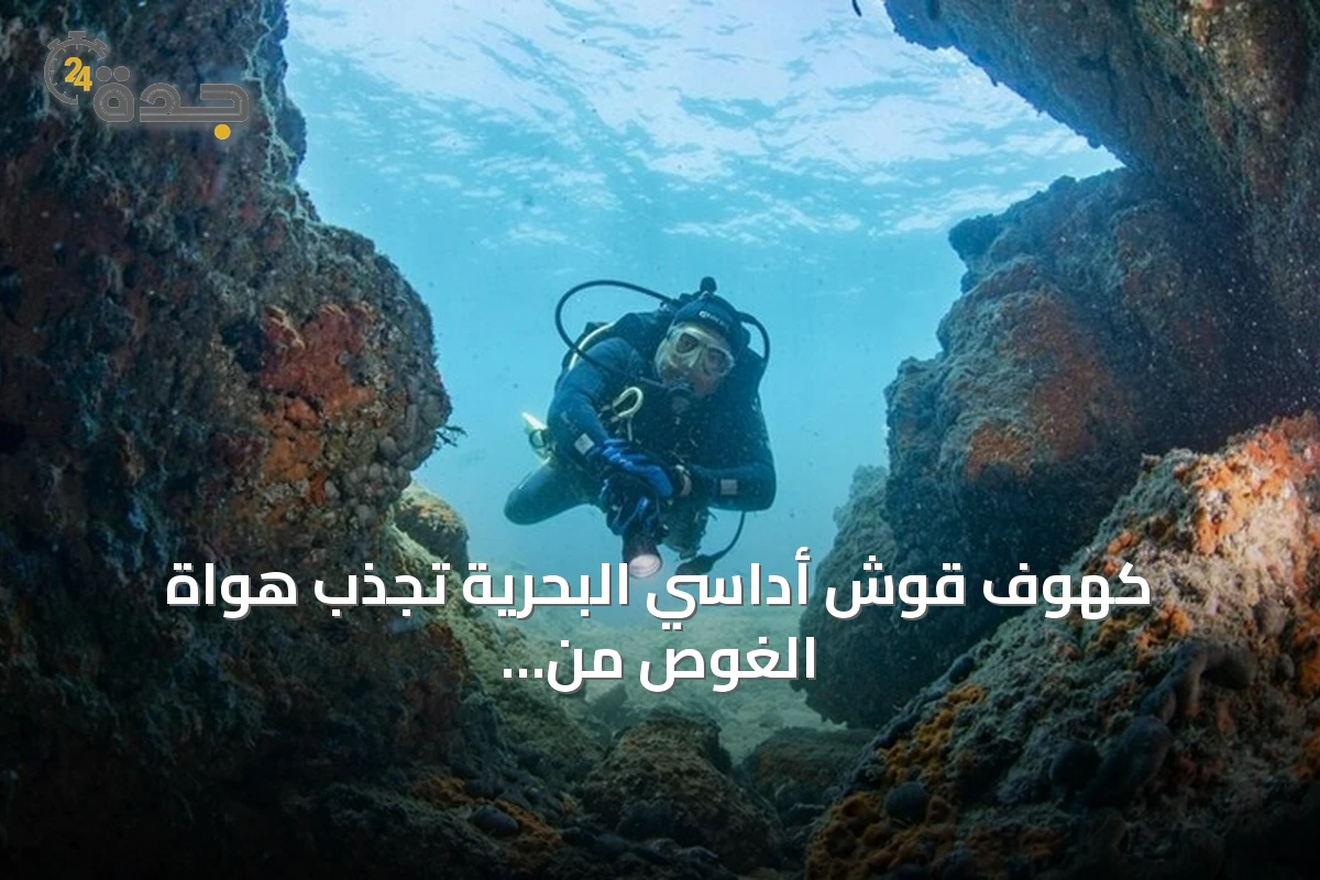 كهوف قوش أداسي البحرية تجذب هواة الغوص من داخل تركيا وخارجها