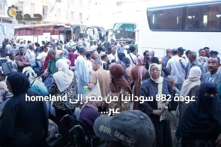 عودة 882 سودانيًا من مصر إلى homeland عبر 18 حافلة في إطار العودة الطوعية