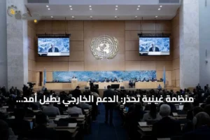 منظمة غينية تحذر: الدعم الخارجي يطيل أمد الحرب في السودان 4 article 309026 1