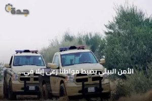 الأمن البيئي يضبط مواطنًا رعى إبلًا في مواقع محظورة بمحمى الملك عبدالعزيز 2 article 309834