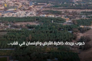 خبوب بريدة: ذاكرة الأرض والإنسان في قلب القصيم 2 article 311717