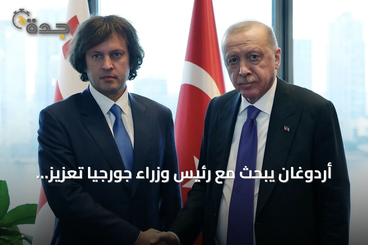 أردوغان يبحث مع رئيس وزراء جورجيا تعزيز التعاون الثنائي والدولي