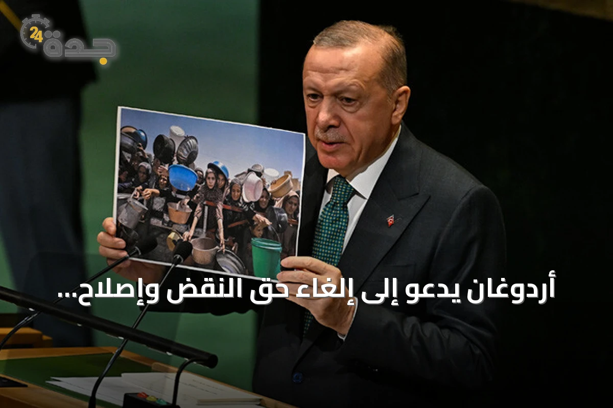 أردوغان يدعو إلى إلغاء حق النقض وإصلاح شامل لمجلس الأمن