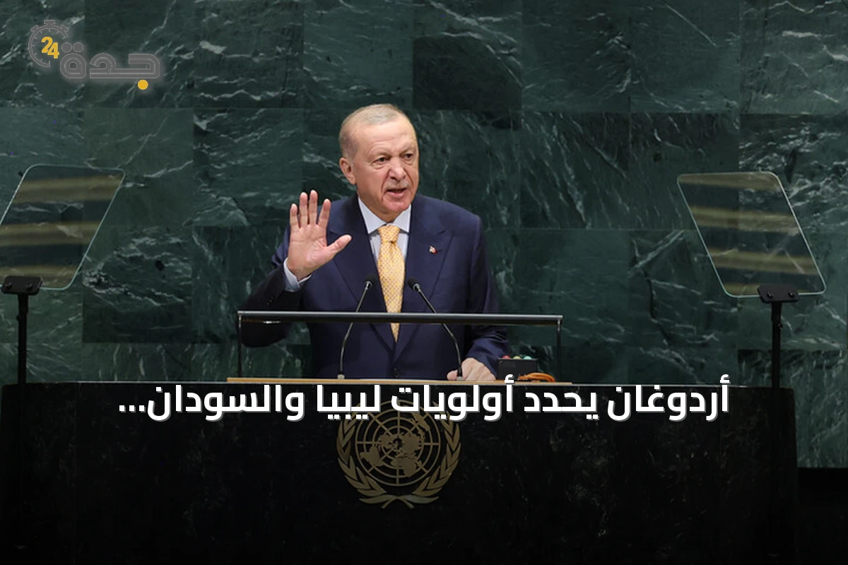 أردوغان يحدد أولويات ليبيا والسودان والصومال ويؤكد دعم الشراكة الإفريقية والأوروبية