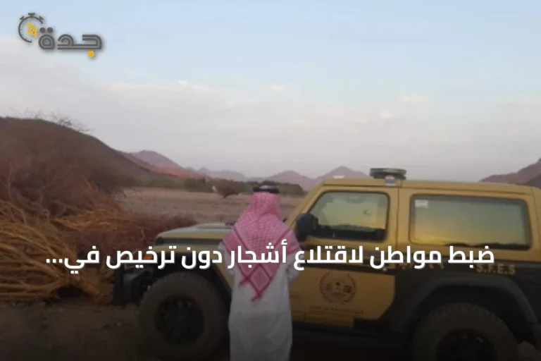ضبط مواطن لاقتلاع أشجار دون ترخيص في المدينة المنورة