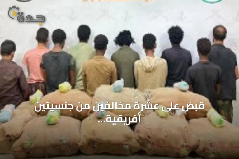 قبض على عشرة مخالفين من جنسيتين أفريقية وعربية بتهمة تهريب مادة القات في جازان