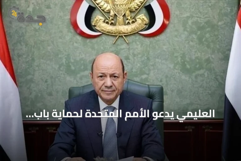 العليمي يدعو الأمم المتحدة لحماية باب المندب ويتحدث عن تصعيد الحوثي والأزمة الإنسانية