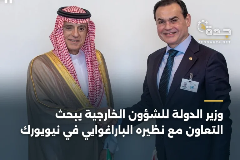 وزير الدولة للشؤون الخارجية يبحث التعاون مع نظيره الباراغوايي في نيويورك 5 article 332722