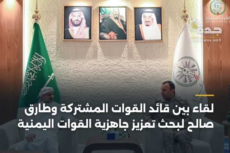 لقاء بين قائد القوات المشتركة وطارق صالح لبحث تعزيز جاهزية القوات اليمنية 3 article 335242