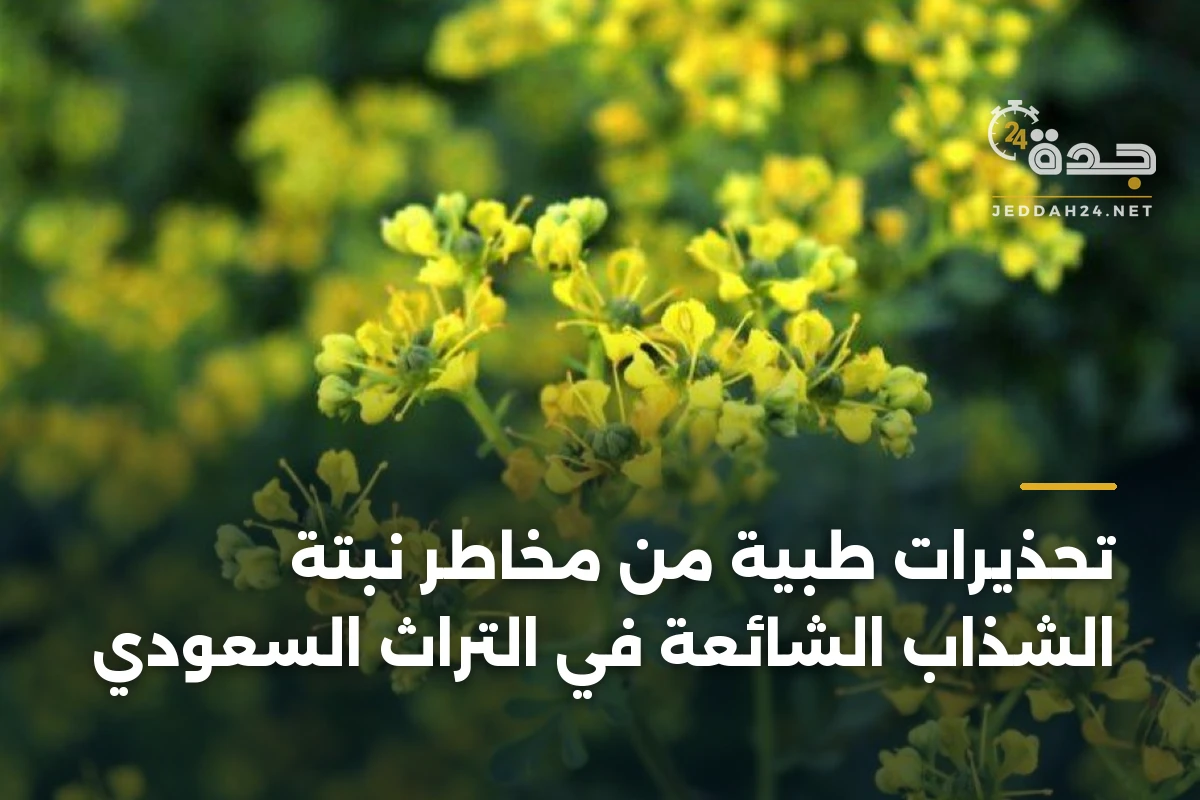 تحذيرات طبية من مخاطر نبتة الشذاب الشائعة في التراث السعودي