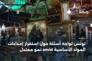 تونس تواجه أسئلة حول استقرار إمدادات المواد الأساسية amid نمو معتدل 4 article 339723