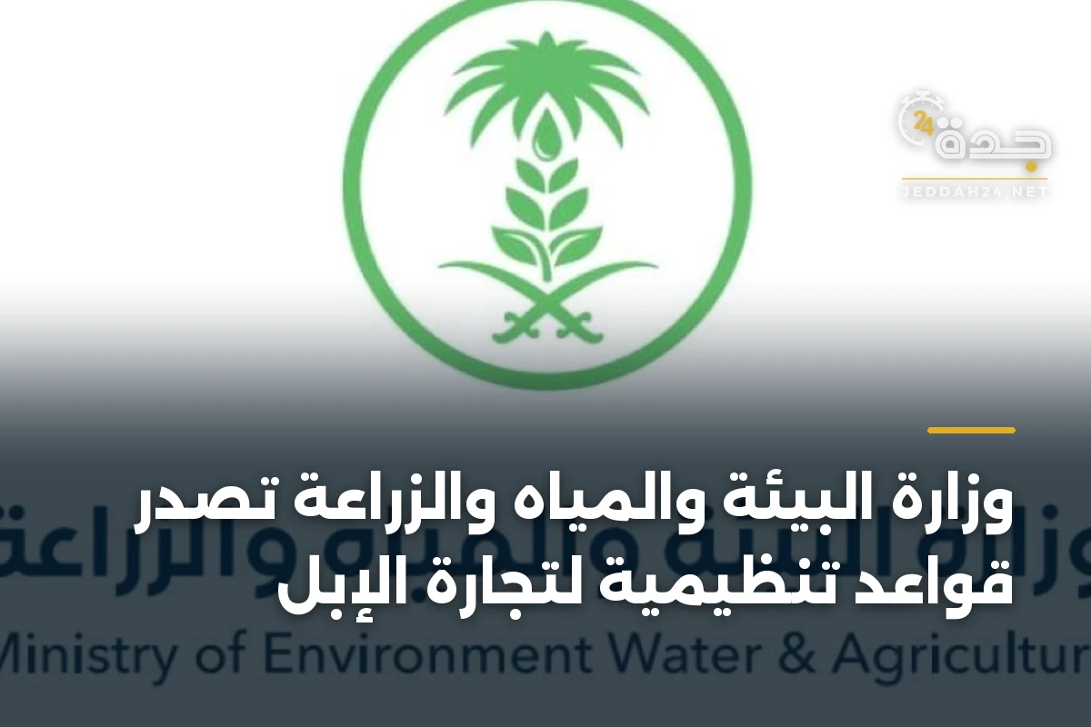 وزارة البيئة والمياه والزراعة تُصدر قواعد تنظيمية لتجارة الإبل 1 وزارة البيئة والمياه والزراعة تُصدر قواعد تنظيمية لتجارة الإبل