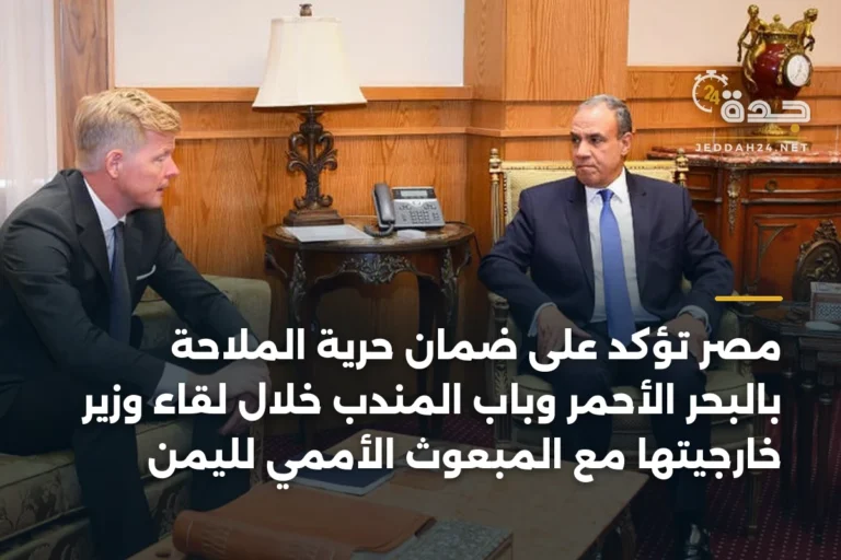 مصر تؤكد على ضمان حرية الملاحة بالبحر الأحمر وباب المندب خلال لقاء وزير خارجيتها مع المبعوث الأممي لليمن 3 article 340867