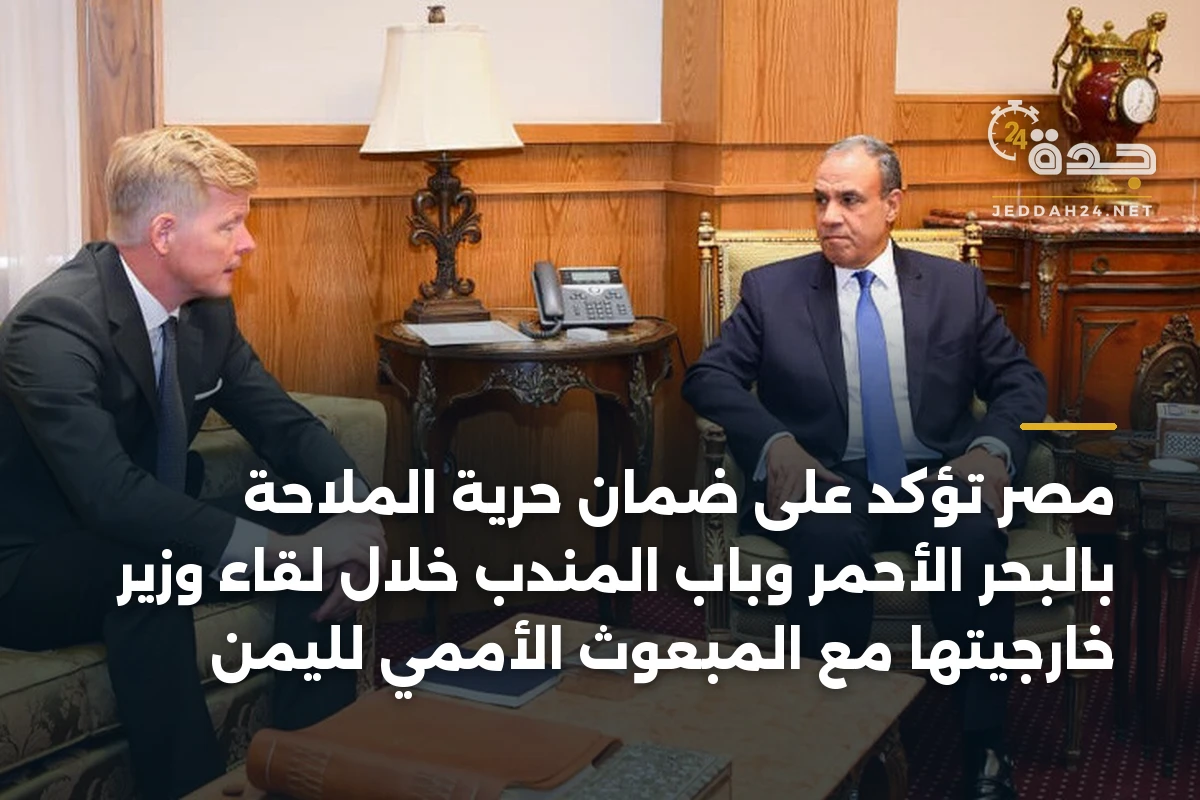 مصر تؤكد على ضمان حرية الملاحة بالبحر الأحمر وباب المندب خلال لقاء وزير خارجيتها مع المبعوث الأممي لليمن