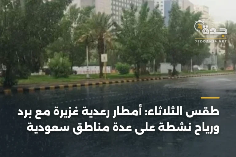 طقس الثلاثاء: أمطار رعدية غزيرة مع برد ورياح نشطة على عدة مناطق سعودية 3 article 342934