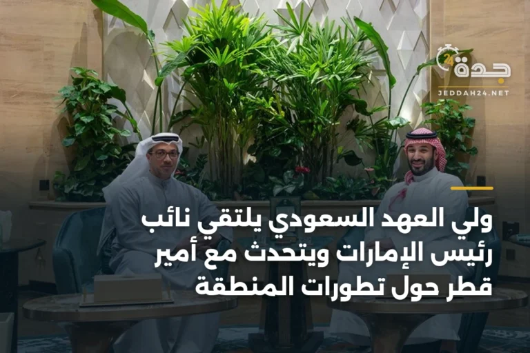 ولي العهد السعودي يلتقي نائب رئيس الإمارات ويتحدث مع أمير قطر حول تطورات المنطقة 4 article 345297