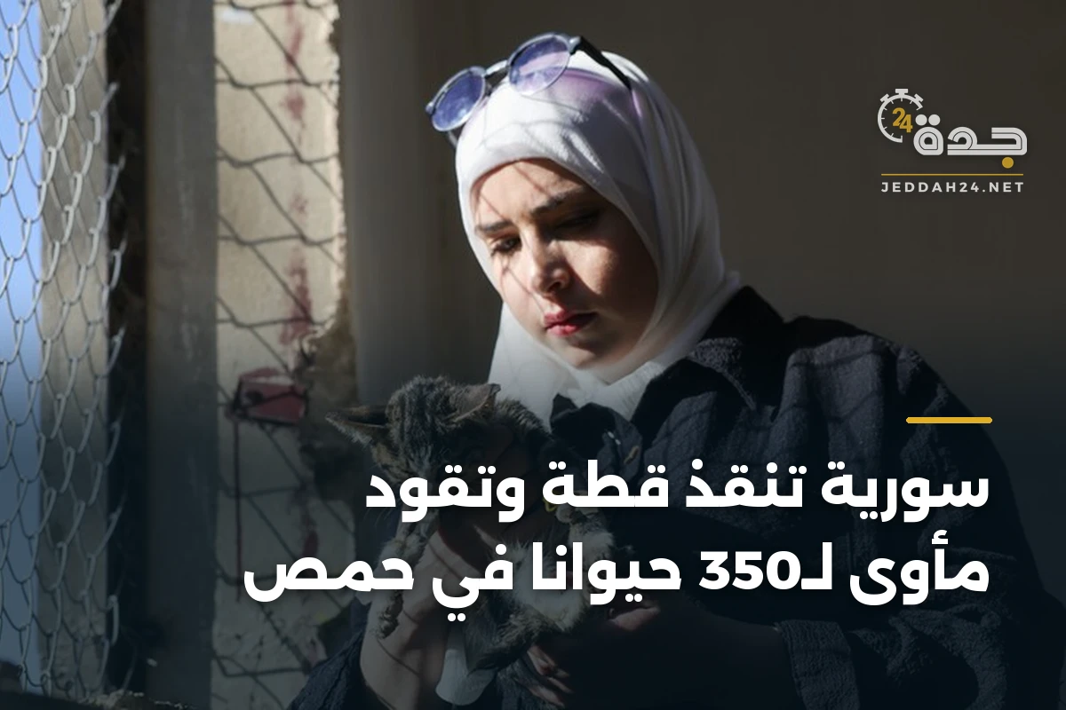 سورية تنقذ قطة وتقود مأوى لـ350 حيوانًا في حمص