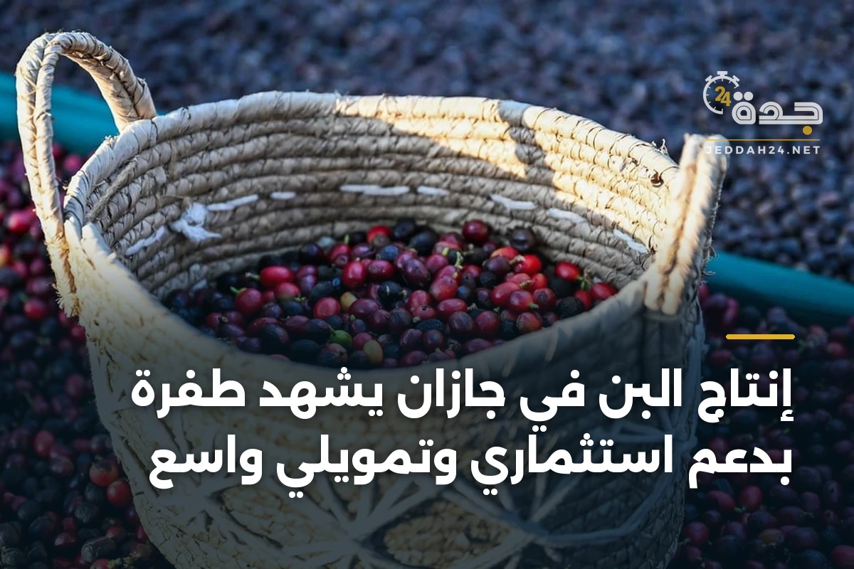 إنتاج البُن في جازان يشهد طفرة بدعم استثماري وتمويلي واسع 1 إنتاج البُن في جازان يشهد طفرة بدعم استثماري وتمويلي واسع