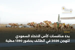 بدء منافسات كأس الاتحاد السعودي للهجن 2026 في الطائف بحضور 1390 مطية 3 article 353537