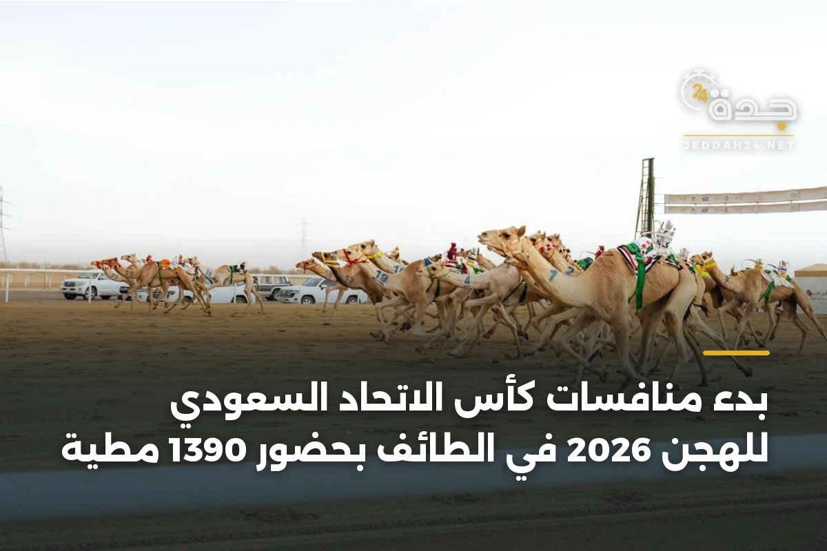 بدء منافسات كأس الاتحاد السعودي للهجن 2026 في الطائف بحضور 1390 مطية