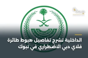 الداخلية تشرح تفاصيل هبوط طائرة فلاي دبي الاضطراري في تبوك 4 article 353542