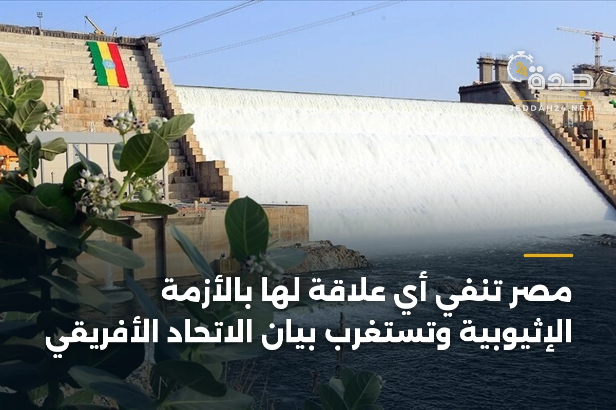 مصر تنفي أي علاقة لها بالأزمة الإثيوبية وتستغرب بيان الاتحاد الأفريقي