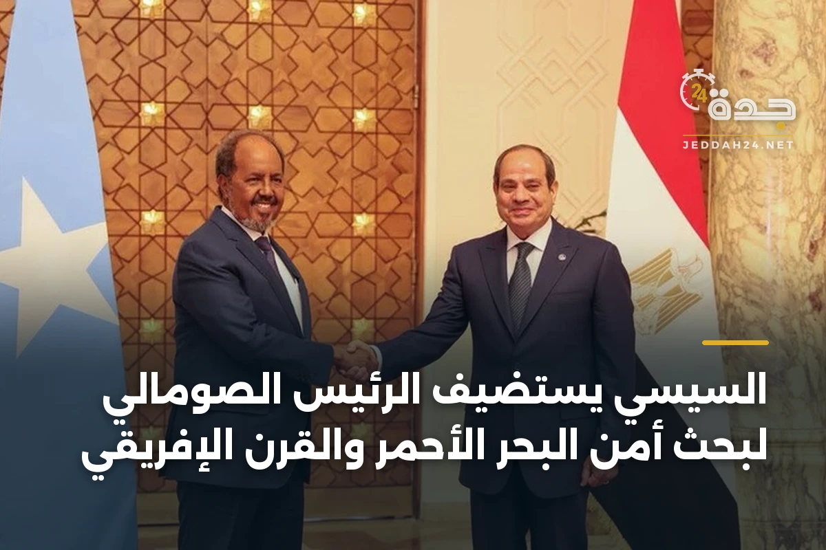 السيسي يستضيف الرئيس الصومالي لبحث أمن البحر الأحمر والقرن الإفريقي 1 السيسي يستضيف الرئيس الصومالي لبحث أمن البحر الأحمر والقرن الإفريقي