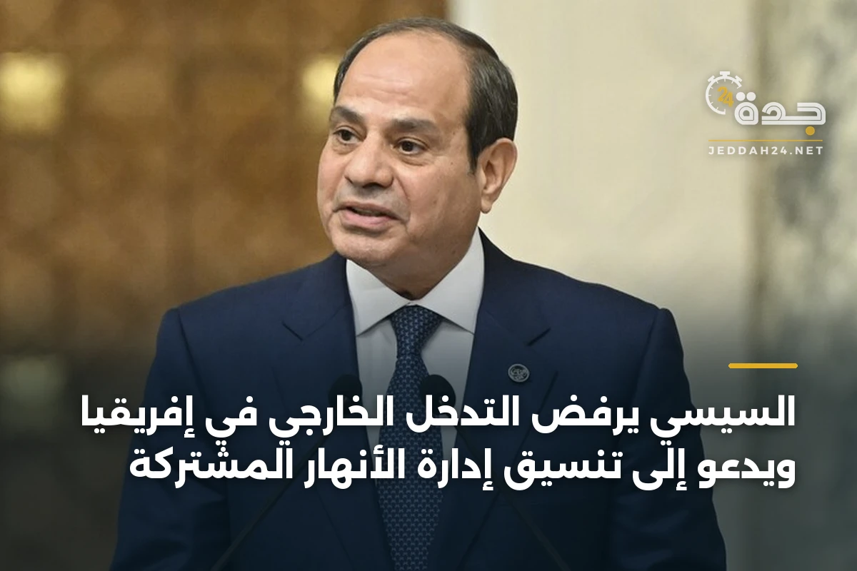 السيسي يرفض التدخل الخارجي في إفريقيا ويدعو إلى تنسيق إدارة الأنهار المشتركة