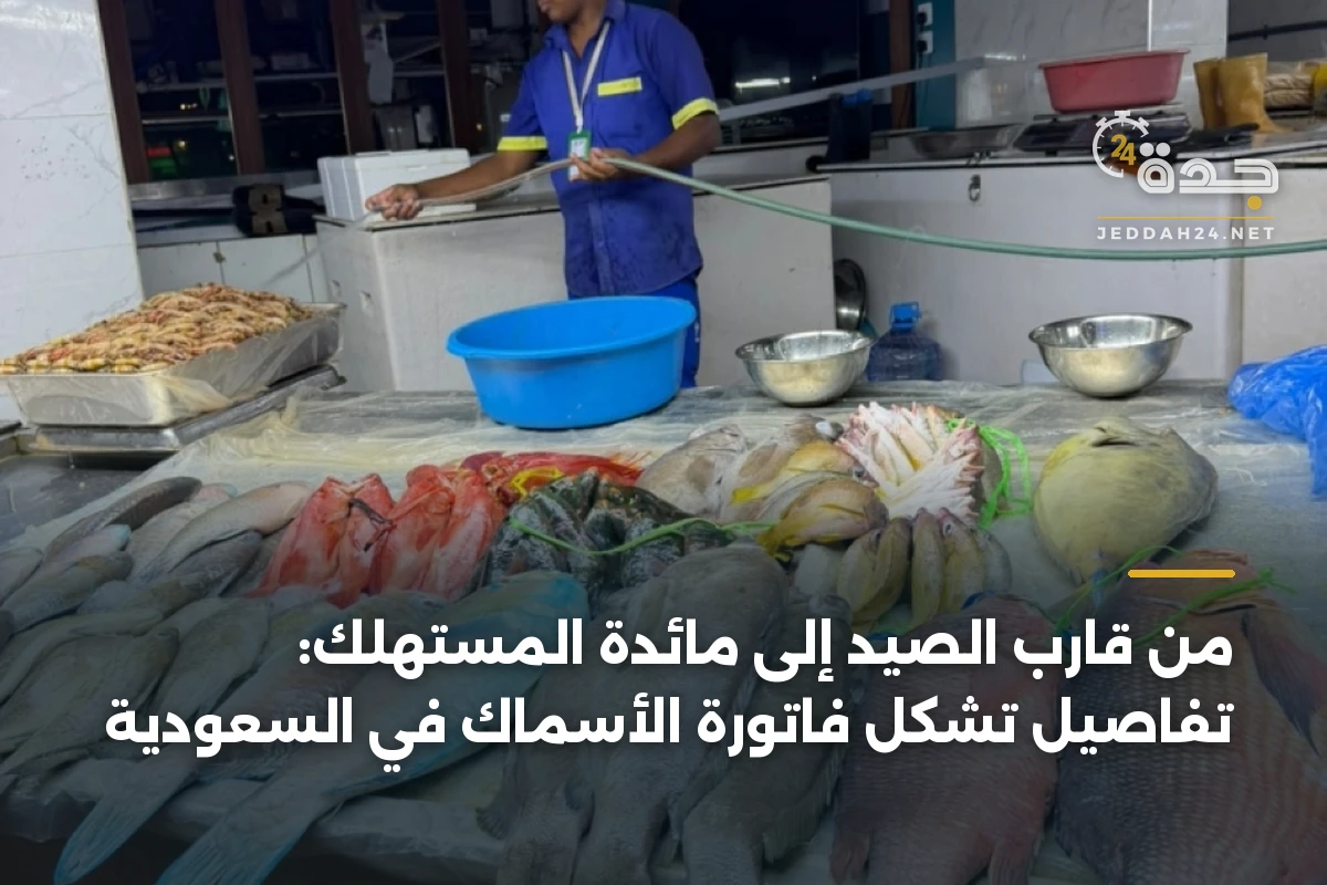 من قارب الصيد إلى مائدة المستهلك: تفاصيل تشكّل فاتورة الأسماك في السعودية 1 من قارب الصيد إلى مائدة المستهلك: تفاصيل تشكّل فاتورة الأسماك في السعودية