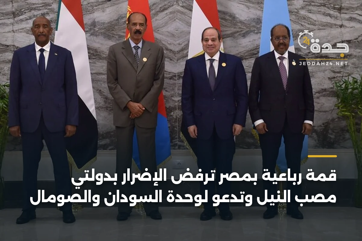 قمة رباعية بمصر ترفض الإضرار بدولتي مصب النيل وتدعو لوحدة السودان والصومال 1 قمة رباعية بمصر ترفض الإضرار بدولتي مصب النيل وتدعو لوحدة السودان والصومال