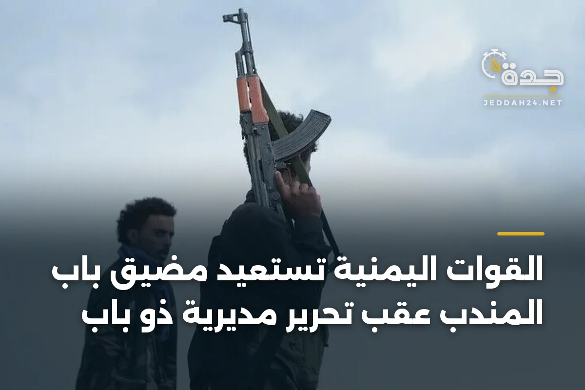 القوات اليمنية تستعيد مضيق باب المندب عقب تحرير مديرية ذو باب