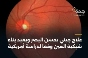 علاج جيني يحسن البصر ويعيد بناء شبكية العين وفقًا لدراسة أمريكية 3 article 364847
