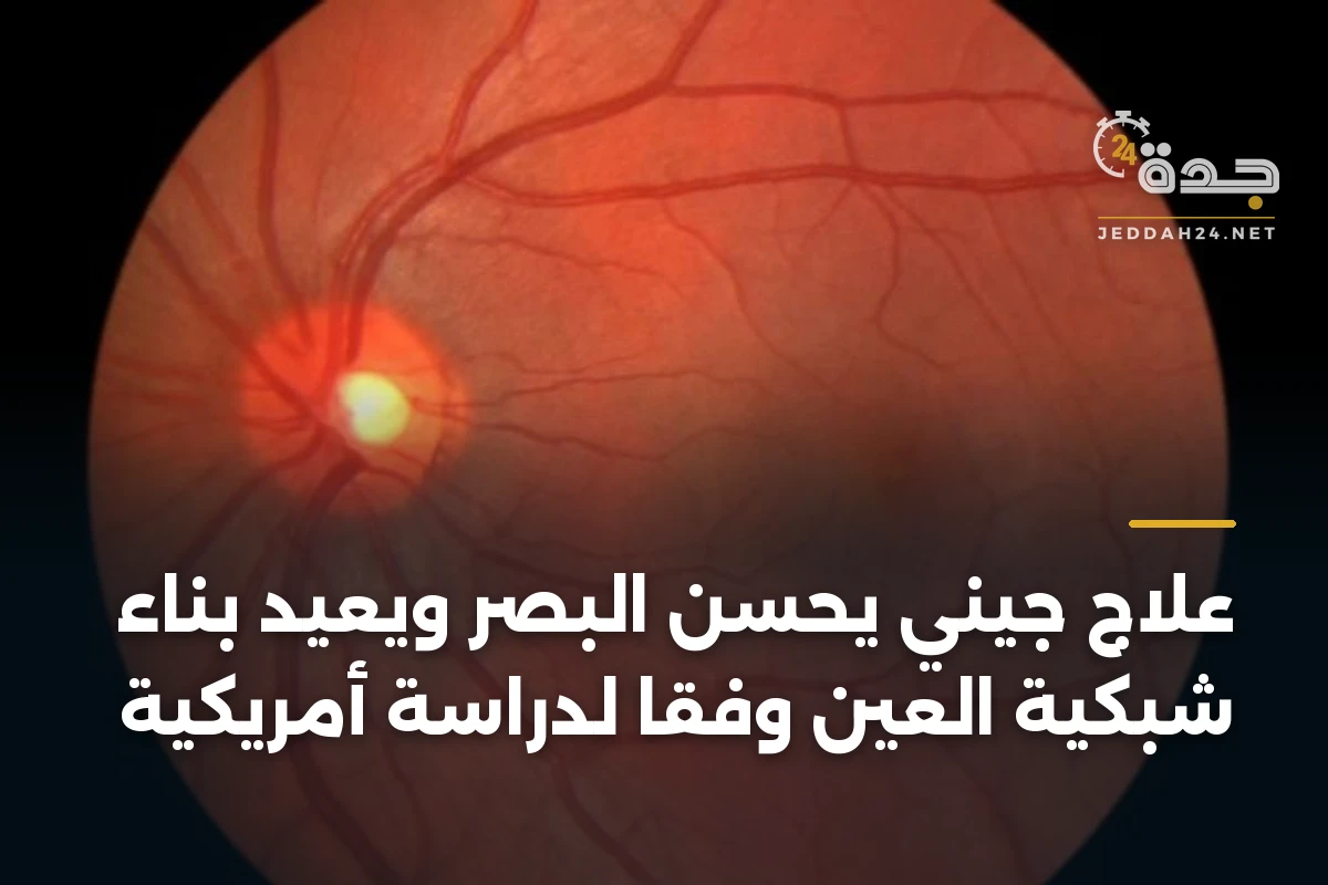 علاج جيني يحسن البصر ويعيد بناء شبكية العين وفقًا لدراسة أمريكية