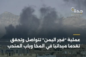 عملية "فجر اليمن" تتواصل وتحقق تقدمًا ميدانيًا في المخا وباب المندب 4 article 366432