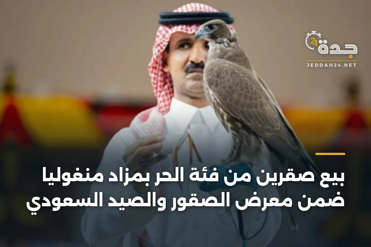 بيع صقرين من فئة الحر بمزاد منغوليا ضمن معرض الصقور والصيد السعودي 1 بيع صقرين من فئة الحر بمزاد منغوليا ضمن معرض الصقور والصيد السعودي