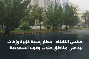 طقس الثلاثاء: أمطار رعدية غزيرة وزخات برد على مناطق جنوب وغرب السعودية 2 article 367015