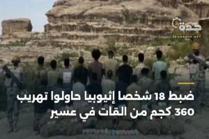 ضبط 18 شخصًا إثيوبيًا حاولوا تهريب 360 كجم من القات في عسير 4 article 368627