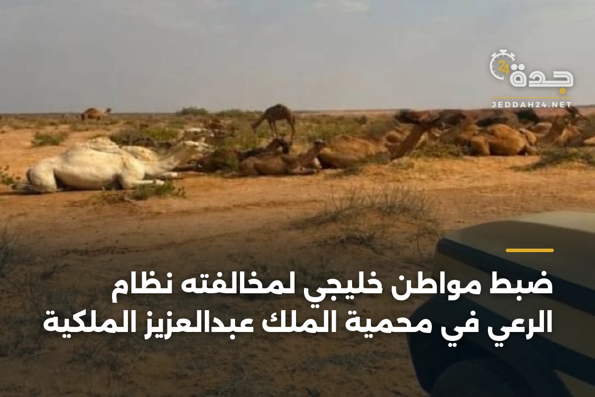 ضبط مواطن خليجي لمخالفته نظام الرعي في محمية الملك عبدالعزيز الملكية 1 ضبط مواطن خليجي لمخالفته نظام الرعي في محمية الملك عبدالعزيز الملكية