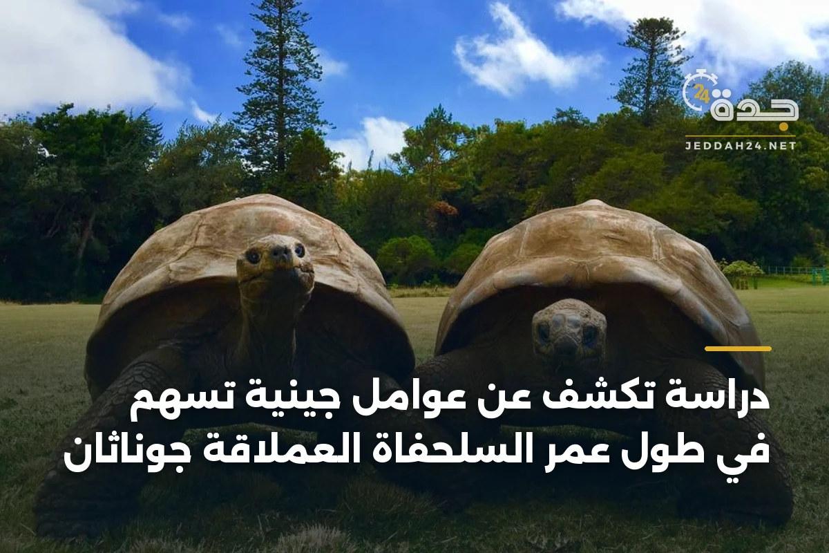 دراسة تكشف عن عوامل جينية تسهم في طول عمر السلحفاة العملاقة جوناثان
