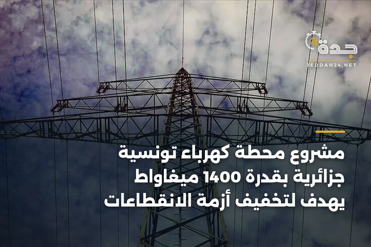 مشروع محطة كهرباء تونسية جزائرية بقدرة 1400 ميغاواط يهدف لتخفيف أزمة الانقطاعات 1 مشروع محطة كهرباء تونسية جزائرية بقدرة 1400 ميغاواط يهدف لتخفيف أزمة الانقطاعات