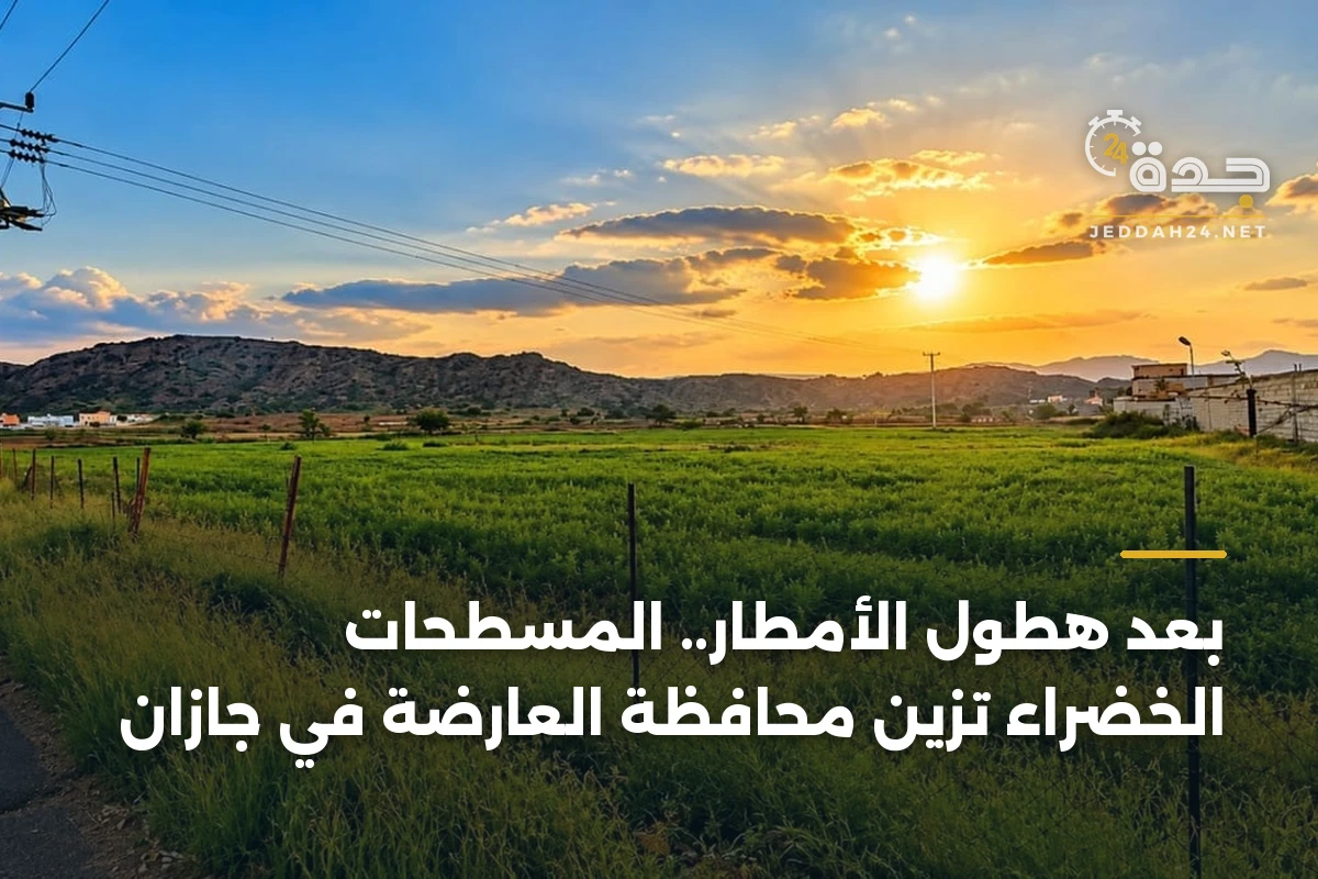 بعد هطول الأمطار.. المسطحات الخضراء تزين محافظة العارضة في جازان 1 بعد هطول الأمطار.. المسطحات الخضراء تزين محافظة العارضة في جازان