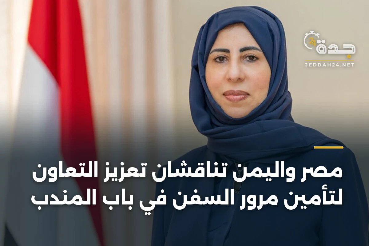 مصر واليمن تناقشان تعزيز التعاون لتأمين مرور السفن في باب المندب 1 مصر واليمن تناقشان تعزيز التعاون لتأمين مرور السفن في باب المندب