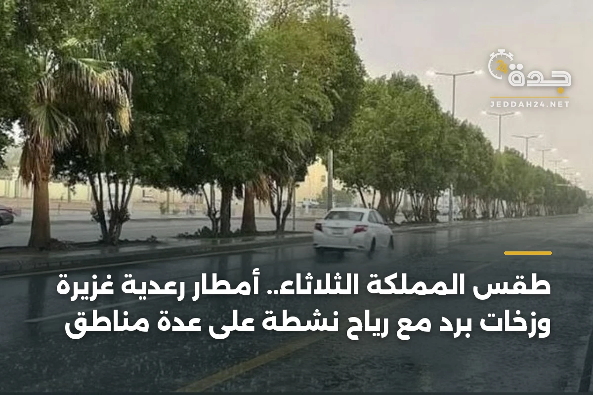 طقس المملكة الثلاثاء.. أمطار رعدية غزيرة وزخات برد مع رياح نشطة على عدة مناطق